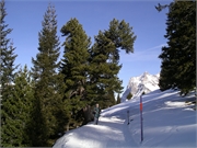 200801-Berti Geburtstag-Fruehling019